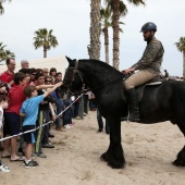 Guardia Real en Benicàssim