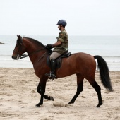 Guardia Real en Benicàssim