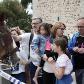 Guardia Real en Benicàssim