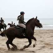 Guardia Real en Benicàssim