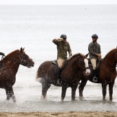 Guardia Real en Benicàssim