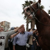 Guardia Real en Benicàssim