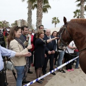 Guardia Real en Benicàssim