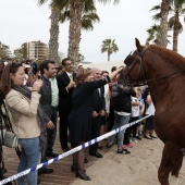 Guardia Real en Benicàssim