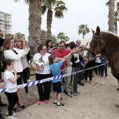 Guardia Real en Benicàssim