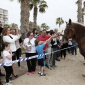 Guardia Real en Benicàssim