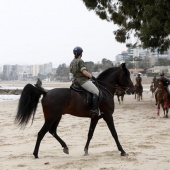 Guardia Real en Benicàssim