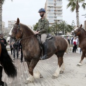 Guardia Real en Benicàssim