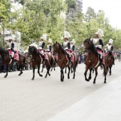 Guardia Real