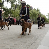 Guardia Real