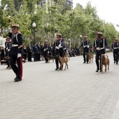 Guardia Real