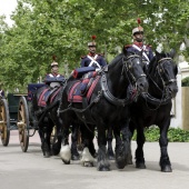 Guardia Real