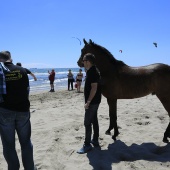 Cavalls per la Joia