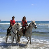 Cavalls per la Joia