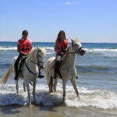 Cavalls per la Joia