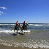 Cavalls per la Joia