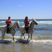 Cavalls per la Joia