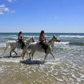 Cavalls per la Joia