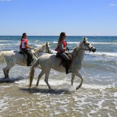 Cavalls per la Joia