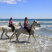 Cavalls per la Joia