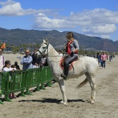 Cavalls per la Joia