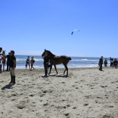 Cavalls per la Joia