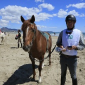 Cavalls per la Joia