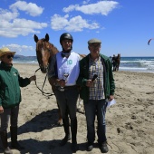 Cavalls per la Joia