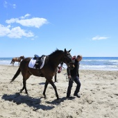 Cavalls per la Joia