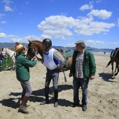 Cavalls per la Joia