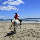 Cavalls per la Joia