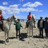 Cavalls per la Joia