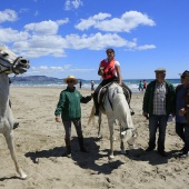 Cavalls per la Joia