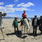 Cavalls per la Joia