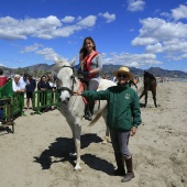 Cavalls per la Joia