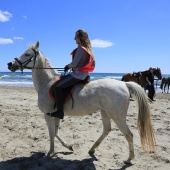 Cavalls per la Joia