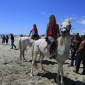 Cavalls per la Joia