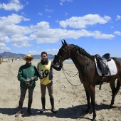 Cavalls per la Joia