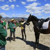 Cavalls per la Joia