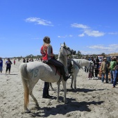 Cavalls per la Joia