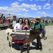 Cavalls per la Joia