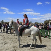 Cavalls per la Joia