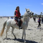 Cavalls per la Joia