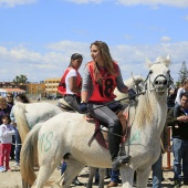 Cavalls per la Joia