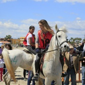 Cavalls per la Joia