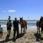 Cavalls per la Joia