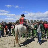 Cavalls per la Joia