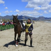 Cavalls per la Joia