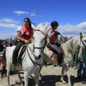 Cavalls per la Joia