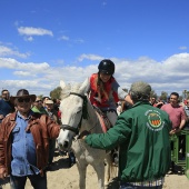 Cavalls per la Joia